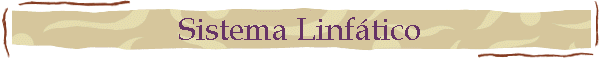 Sistema Linftico