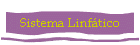 Sistema Linftico
