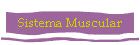 Sistema Muscular