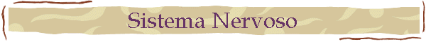 Sistema Nervoso