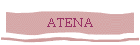 ATENA