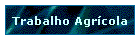 Trabalho Agrcola