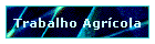 Trabalho Agrcola