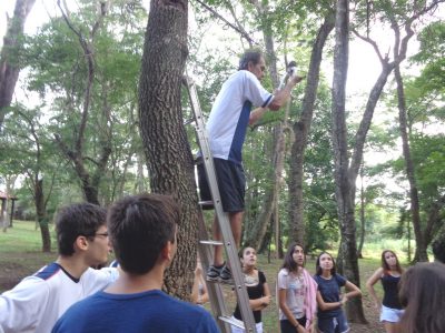 ef3_medias_medias_20160601(19)