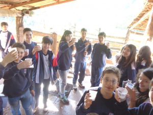 ef3_PatrSocio_Uchoa_201600823(11)