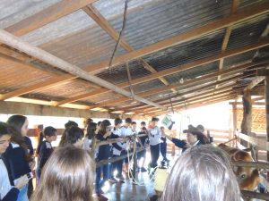 ef3_PatrSocio_Uchoa_201600823(41)