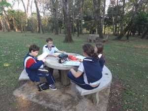 ef3_6anoa_descnat_201609202