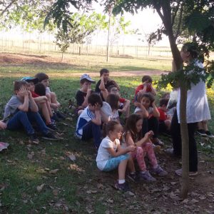 ef_1anoG_Sitio_20170927(16)