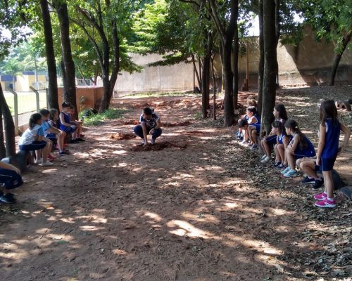 ef_1c_enchente_20190530(1)