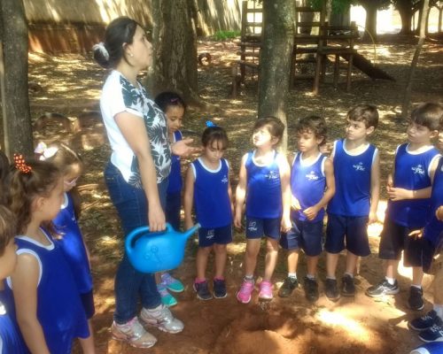 ef_1d_enchente_20190530(2)